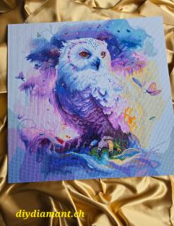 Diamond Painting Eule